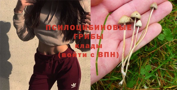 MDMA Premium VHQ Костерёво