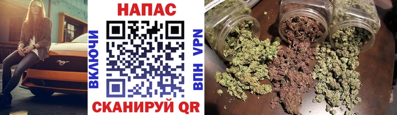 Купить где  Родники  Канабис индика 